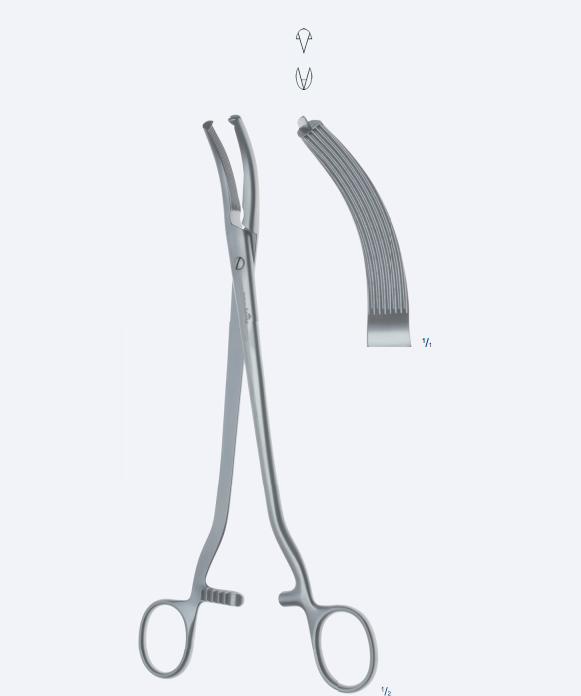 Зажими, для черевної порожнини, "Mikulicz", вигнуті, зубчасті, зубці 2 х 1, з кремальєрою, довжина 245 мм, 9 3/4". Бренд - Asanus Medizintechnik Gmb, Німеччина